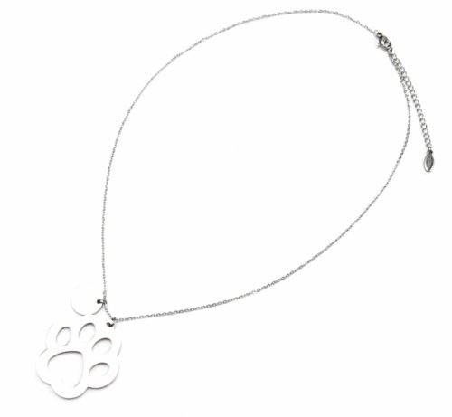 Collier-Fine-Chaine-et-Pendentif-Patte-Chien-Acier-Argente