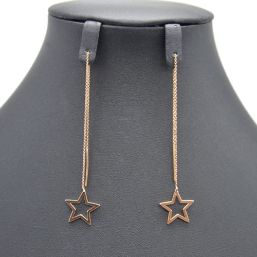 Loops-Earrings-traverses-Fine-chain-with-star-open-Metal-gold-Rose