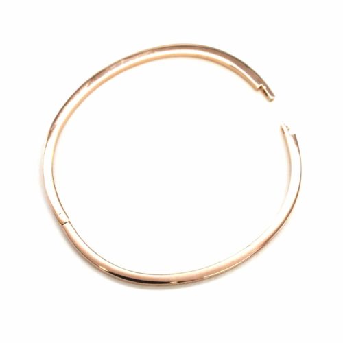 Bracelet-Bangle-Fin-steel-gold-pink-with-Message
