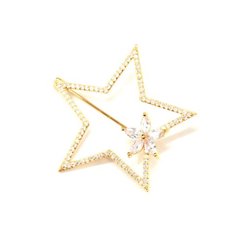 Broche-Epingle-Etoile-Contour-Strass-Zirconium-Fleur-Pierres-et-Metal-Dore