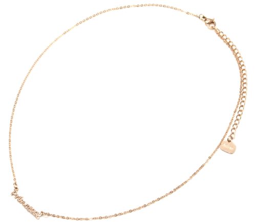 Collier-Fine-Chaine-avec-Pendentif-Princesse-Acier-Or-Rose