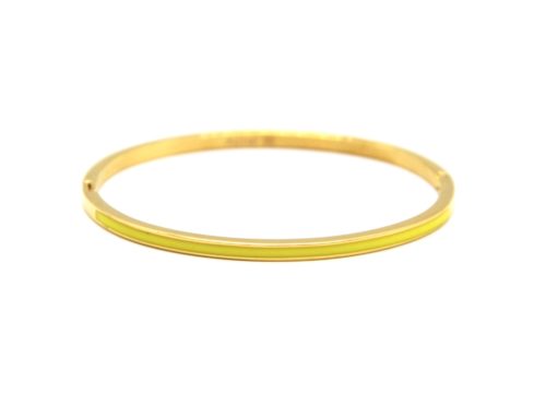 Bracelet-Jonc-Fin-Acier-Dore-avec-Bande-Email-Jaune