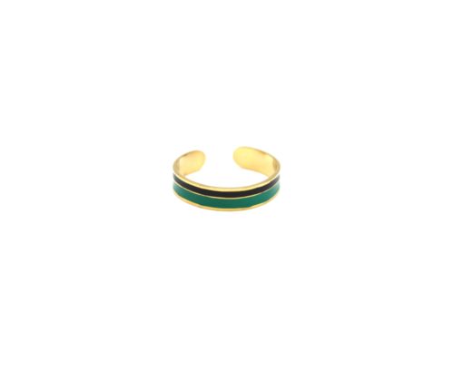 Bague-Anneau-Acier-Dore-avec-Double-Bandes-Email-Noir-Vert