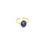 Bague-Fine-Ondulee-Acier-Dore-avec-Ovale-Email-Bleu-Motif-Flamant-Rose