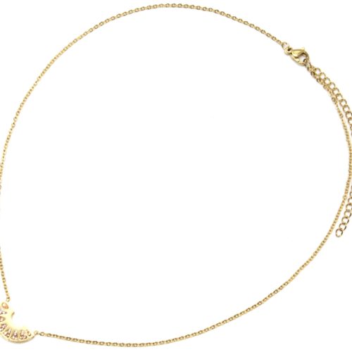 Collier-Fine-Chaine-avec-Pendentif-Demi-Cercle-Ajoure-Acier-Dore-et-Strass-Champagne