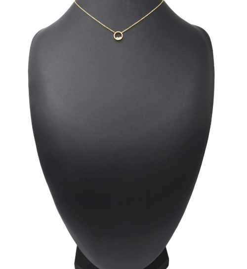 Collier-Fine-Chaine-avec-Pendentif-Cercle-Pierres-Contour-Acier-Dore