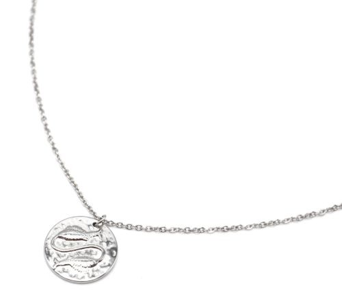 Collier-Pendentif-Medaille-Signe-Astro-Poissons-Acier-Argente