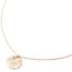 Collier-Pendentif-Medaille-Signe-Astro-Belier-Acier-Or-Rose