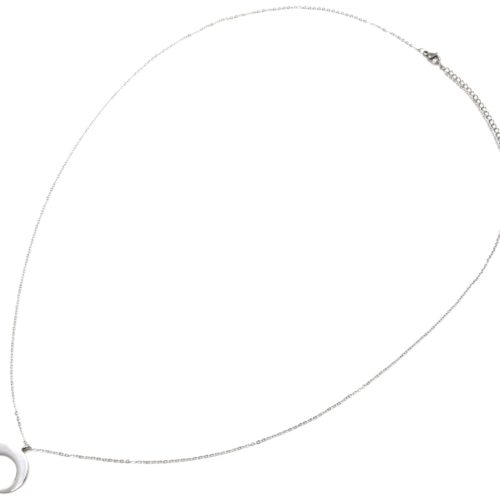 Saltire-Necklace-Fine-chain-with-pendant-horn-moon-steel-Silver