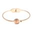 Bracelet-Jonc-Fin-Acier-Or-Rose-avec-Cercle-Piece-Monnaie-et-Strass