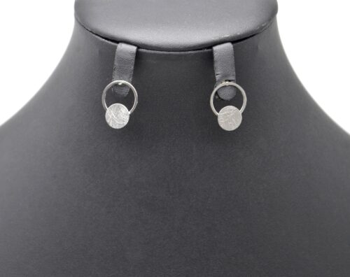 Boucles-dOreilles-Double-Cercles-Brosse-et-Contour-Acier-Argente