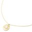 Collier-Fine-Chaine-avec-Ovale-Martele-Acier-Dore-et-Pierre-Rose-Pale