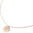 Collier-Pendentif-Medaille-Signe-Astro-Cancer-Acier-Or-Rose