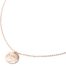 Collier-Pendentif-Medaille-Signe-Astro-Scorpion-Acier-Or-Rose