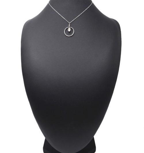 Collier-Fine-Chaine-Pendentif-Cercle-Contour-Acier-Argente-et-Pierre-Transparente