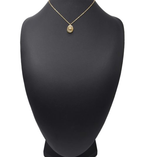 Collier-Pendentif-Pierre-Grise-Etoile-Polaire-et-Contour-Acier-Dore