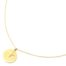 Collier-Pendentif-Medaille-Contour-Points-et-Etoile-Polaire-Acier-Dore