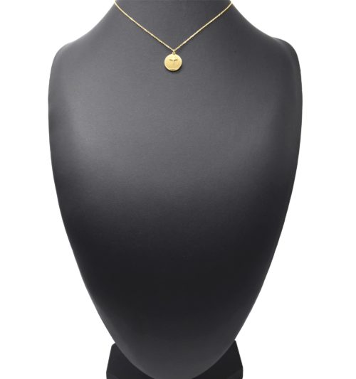 Collier-Pendentif-Medaille-Contour-Points-et-Etoile-Polaire-Acier-Dore