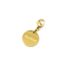 Charm-Medaille-Bonheur-Acier-Dore