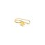 Bague-dOreille-Etoile-et-Crochet-Acier-Dore