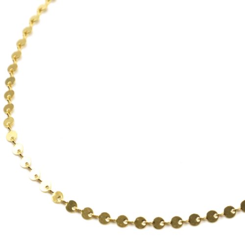 Collier-Chaine-Petits-Cercles-Acier-Dore