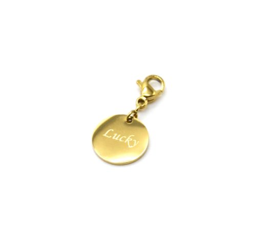 Charm-Medaille-Lucky-Acier-Dore