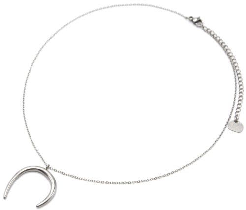 Collier-Fine-Chaine-avec-Corne-Asymetrique-Acier-Argente