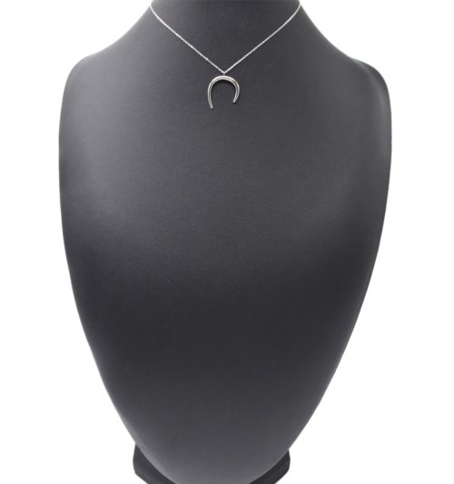 Collier-Fine-Chaine-avec-Corne-Asymetrique-Acier-Argente