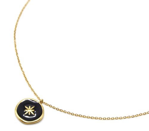 Collier-Fine-Chaine-avec-Medaille-Email-Noir-et-Etoile-Polaire-Acier-Dore