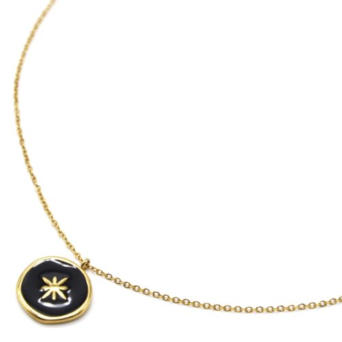 Collier-Fine-Chaine-avec-Medaille-Email-Noir-et-Etoile-Polaire-Acier-Dore