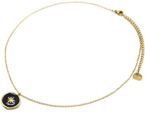 Collier-Fine-Chaine-avec-Medaille-Email-Noir-et-Etoile-Polaire-Acier-Dore