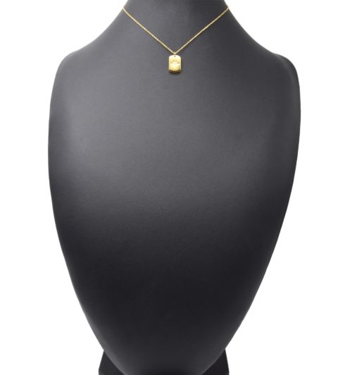 Collier-Fine-Chaine-Pendentif-Medaille-Rectangle-Etoile-Polaire-Acier-Dore