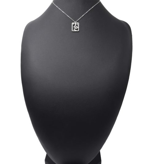 Collier-Fine-Chaine-Pendentif-Serpent-Contour-Rectangle-Acier-Argente