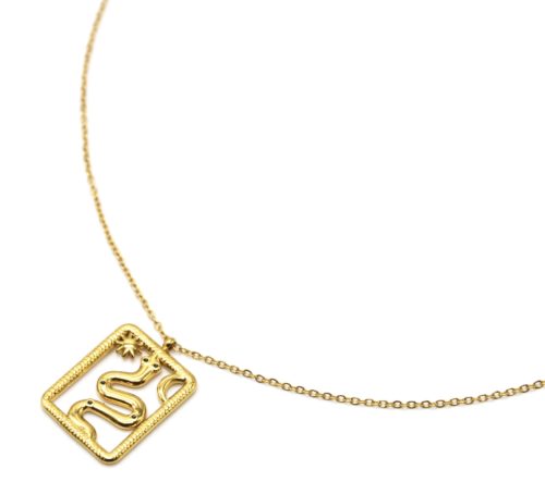 Collier-Fine-Chaine-Pendentif-Serpent-Contour-Rectangle-Acier-Dore