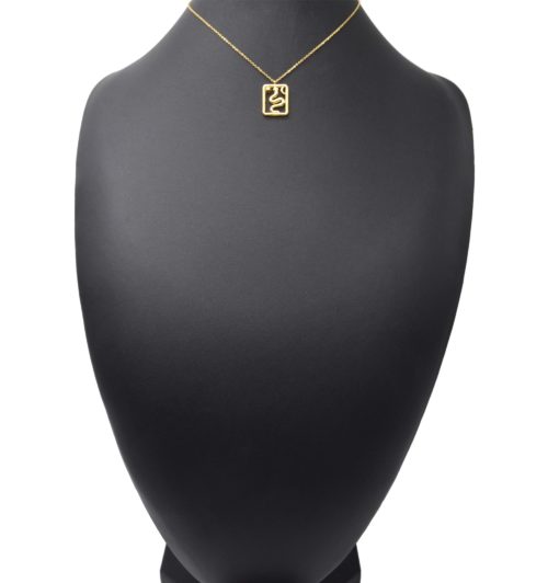 Collier-Fine-Chaine-Pendentif-Serpent-Contour-Rectangle-Acier-Dore