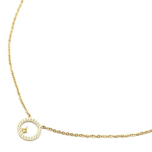 Collier-Fine-Chaine-Pendentif-Cercle-Contour-Strass-et-Etoile-Acier-Dore